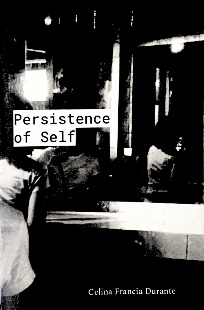 Persistence of Self