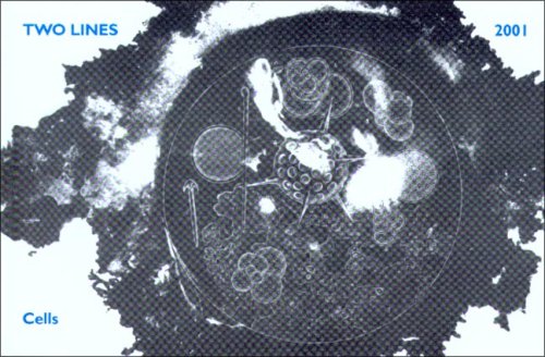 Two Lines: Cells 2001