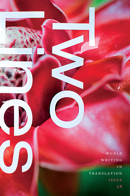 Two Lines Issue 28