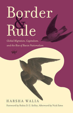 Boarder & Rule