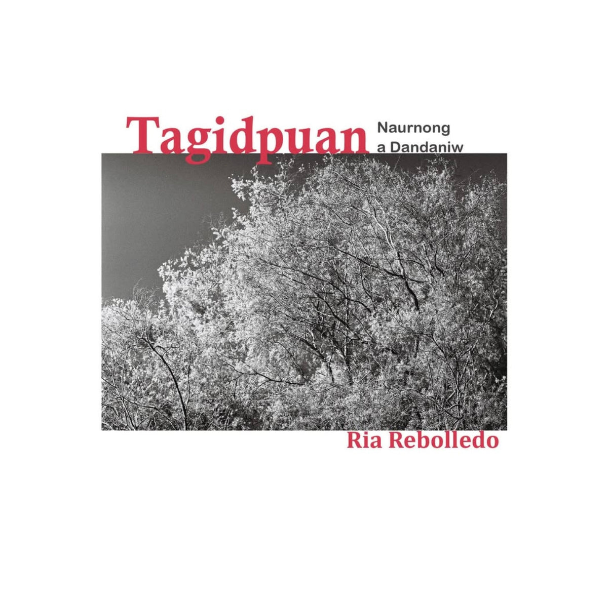 Tagidpuan