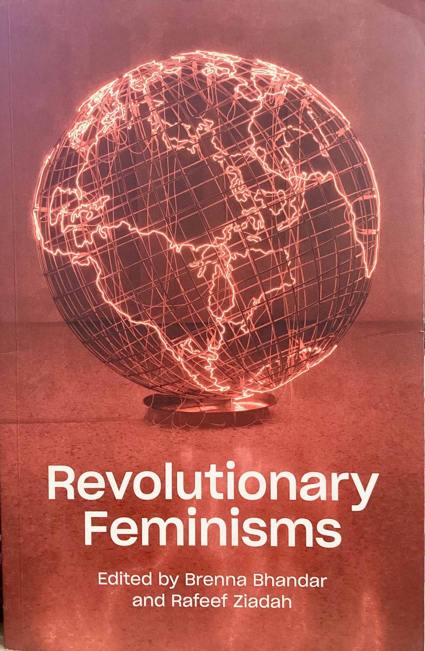 Revolutionary Feminisms