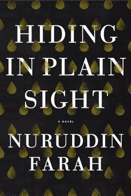 Hiding In Plain Sight: A Novel