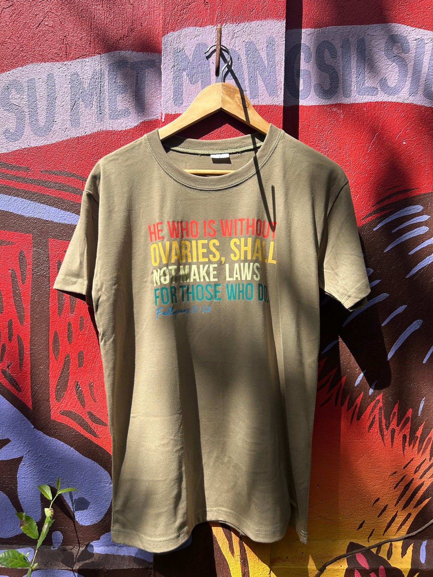 Fallopians Feminist Shirt - Gray (Large)