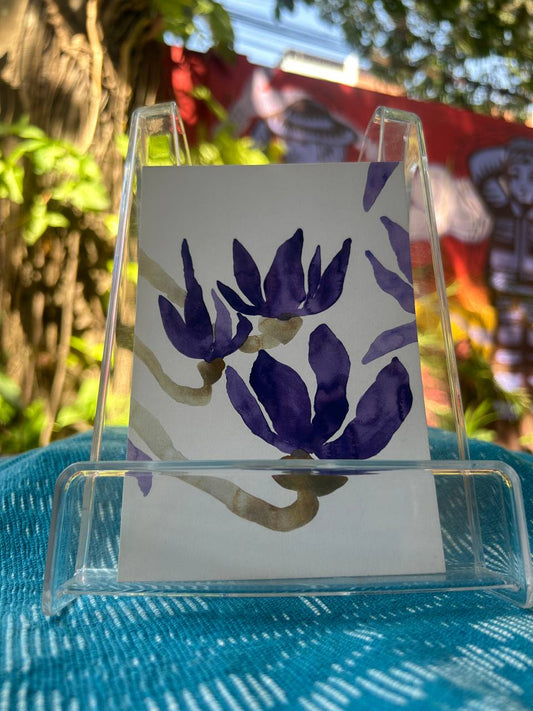 Violet Lotus Postcard